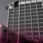 Conoce cómo las egresadas de la UANL, como Lizeth Refugio Salas, están liderando en el mundo empresarial.