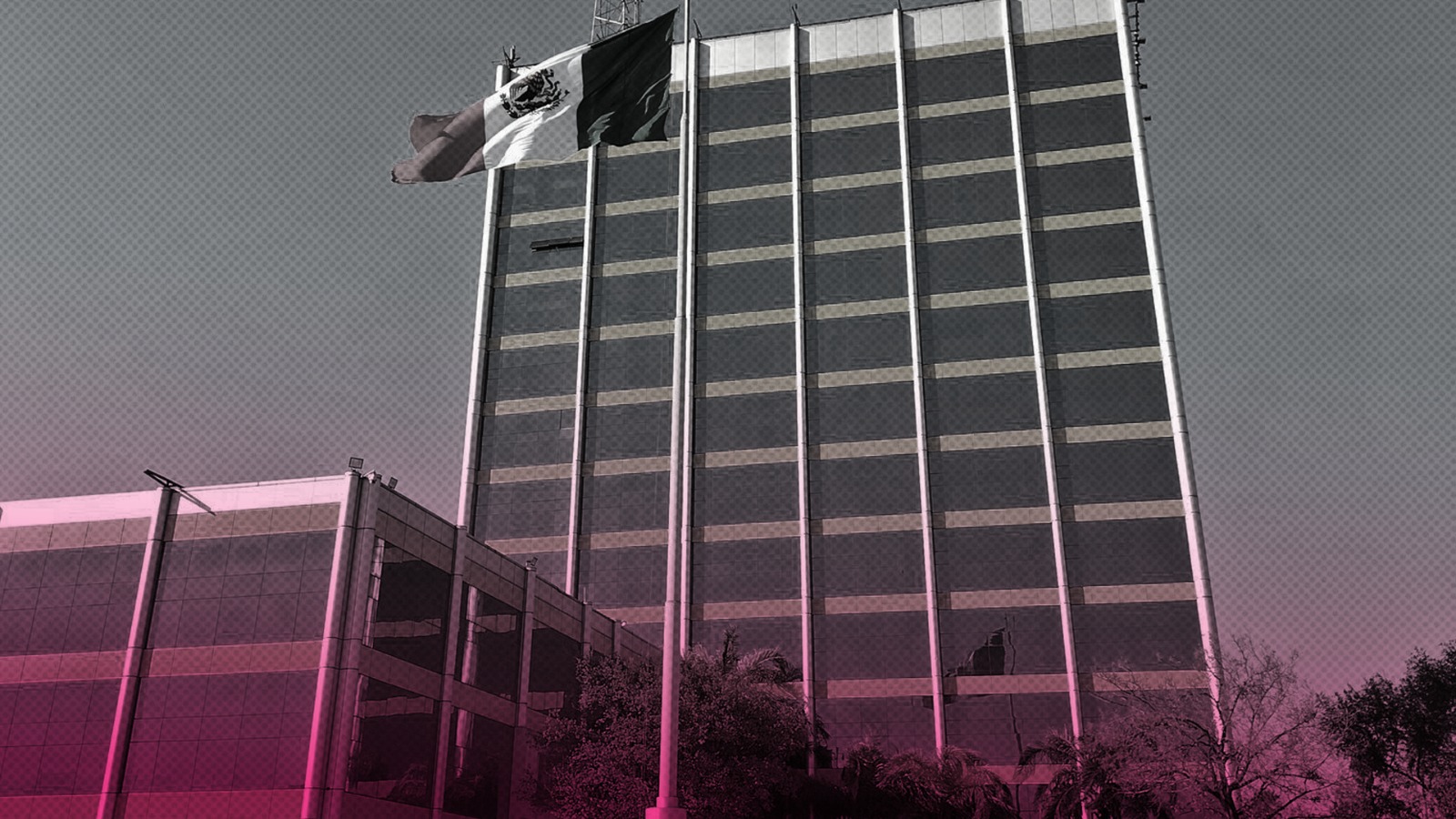 Conoce cómo las egresadas de la UANL, como Lizeth Refugio Salas, están liderando en el mundo empresarial.