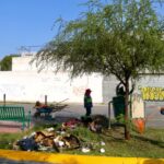 Una jornada de limpieza en Monterrey reunió a ciudadanos y autoridades para retirar toneladas de desechos en la avenida Plumbago.